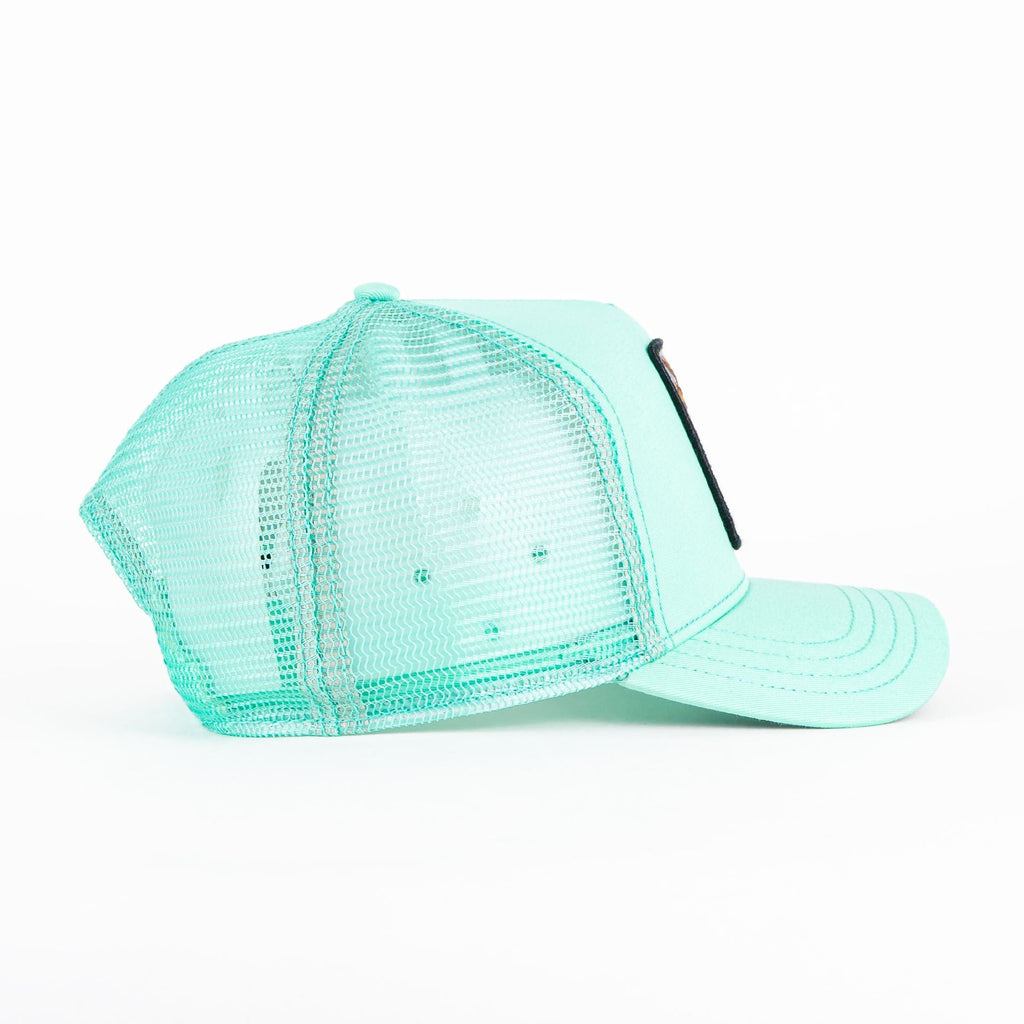 Gorra Goorin Bros THE DRAGON BEAST MINT | Snapback Visera Curva