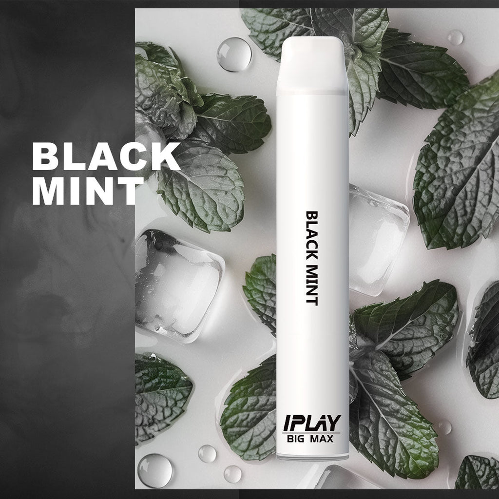 IPLAY BIG MAX